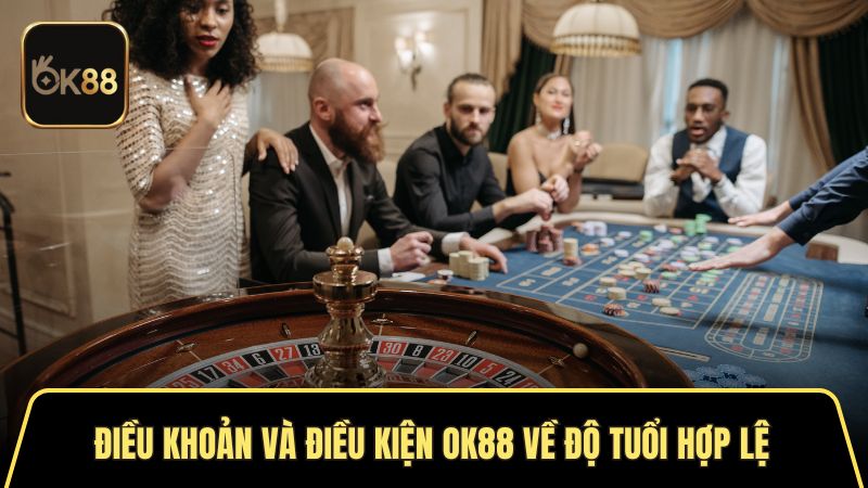 Điều khoản và điều kiện OK88 về độ tuổi hợp lệ
