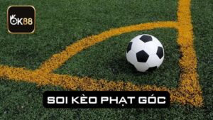 5 Tips Soi Kèo Phạt Góc Chuẩn Xác Cho Người Chơi Mới